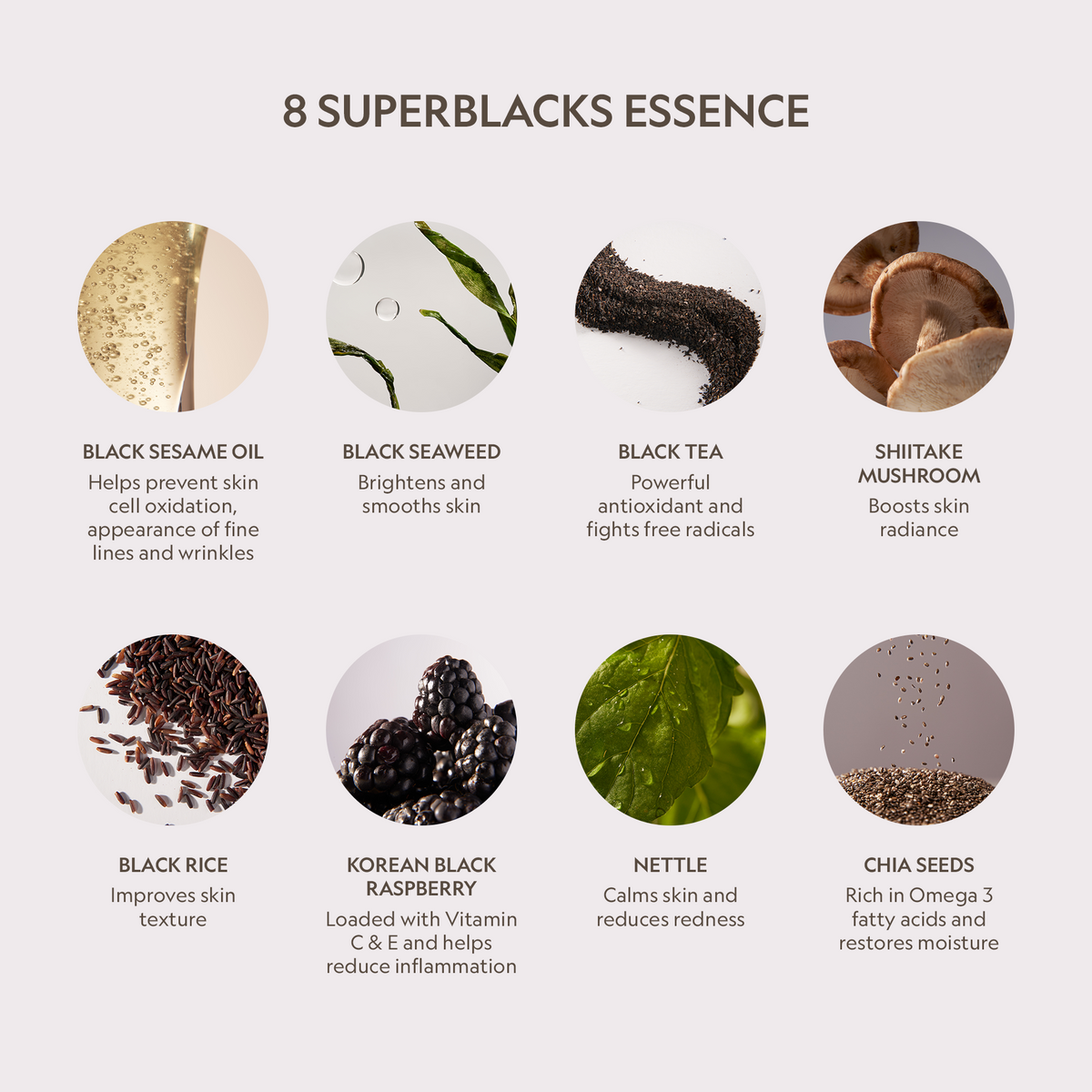 BB + CC Full Coverage Hyaluronic Serum Concealer