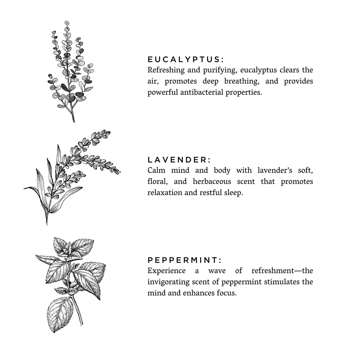 Of The Sea (Eucalyptus + Lavender + Peppermint)